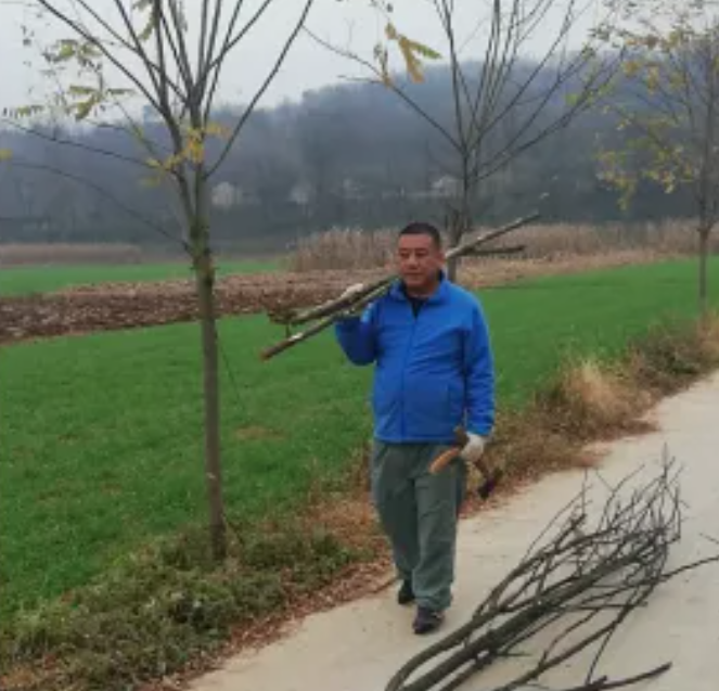 QQ图片20201110091545.png